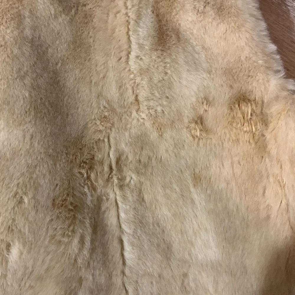 LOFT Faux Fur Vest